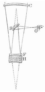 Fig. 12. Brachymedial.